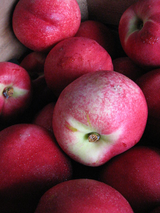 Toigo Orchards in Shippensburg, PA
