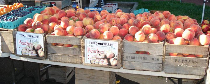 Peaches at Toigo Orchard